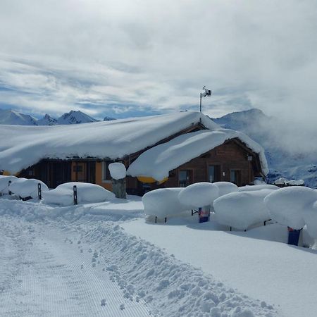 Albergo Ristoro Sitten - 2300 Mt Gressoney-la-Trinité Buitenkant foto